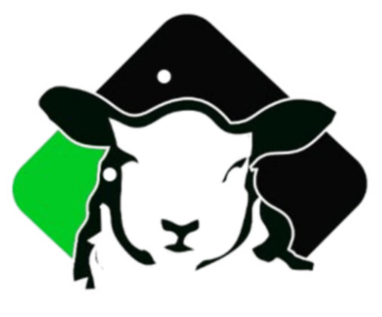 Sinatria Academy Logo